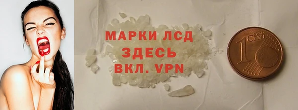 гашик Осташков