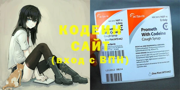 гашик Осташков