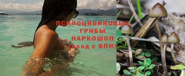 apvp Абдулино