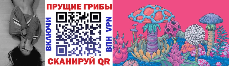 Псилоцибиновые грибы мухоморы купить закладку Ахтырский